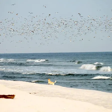 Lägenhet White Pearl 3.08 *