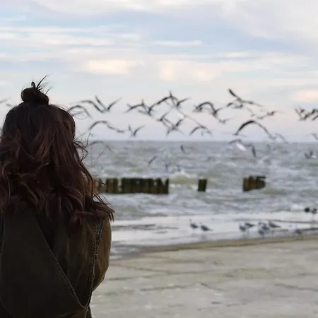 White Pearl 3.08 Lägenhet *